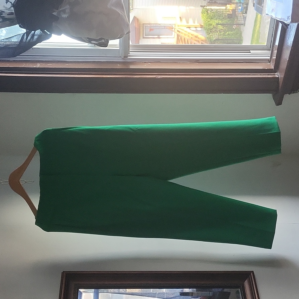 Zara green pant